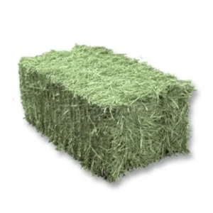 Feno em Fardo – 10,0 kg